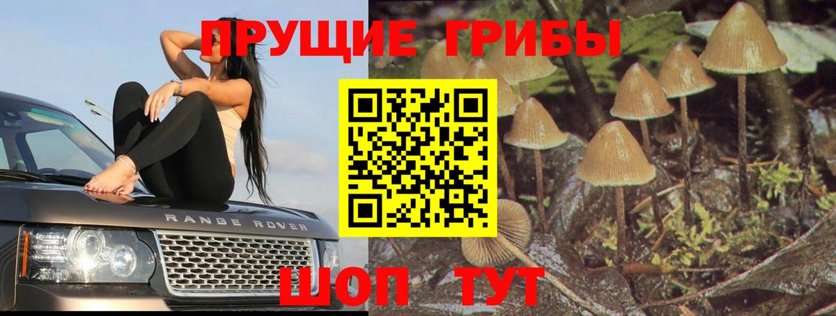 Галлюциногенные грибы мухоморы Краснокамск
