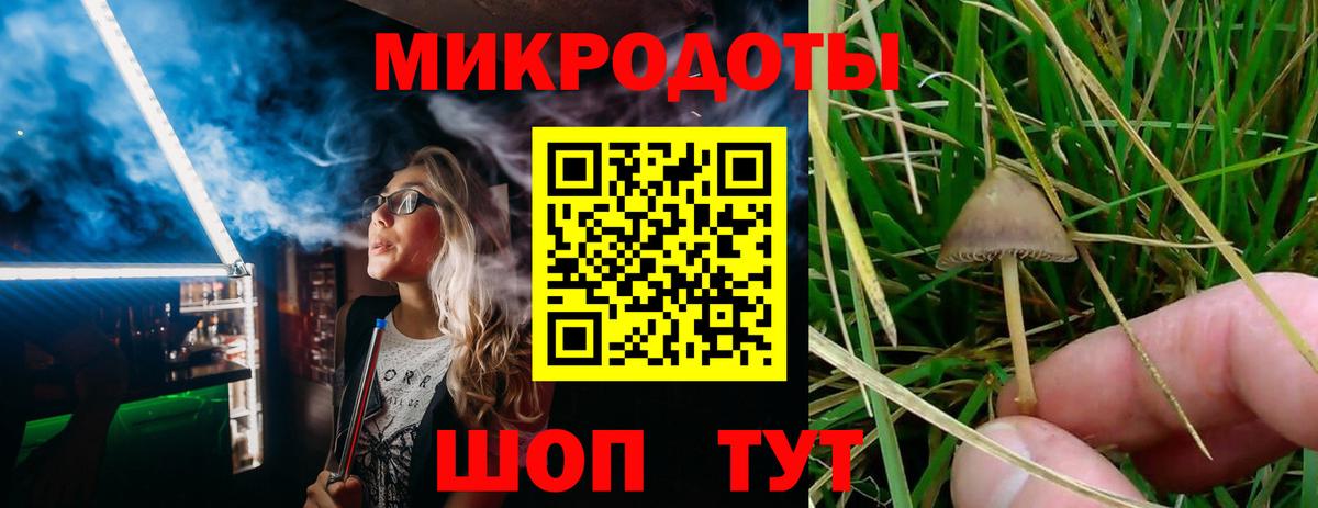 Галлюциногенные грибы MAGIC MUSHROOMS  где купить наркотик  Краснокамск  Вход с VPN 